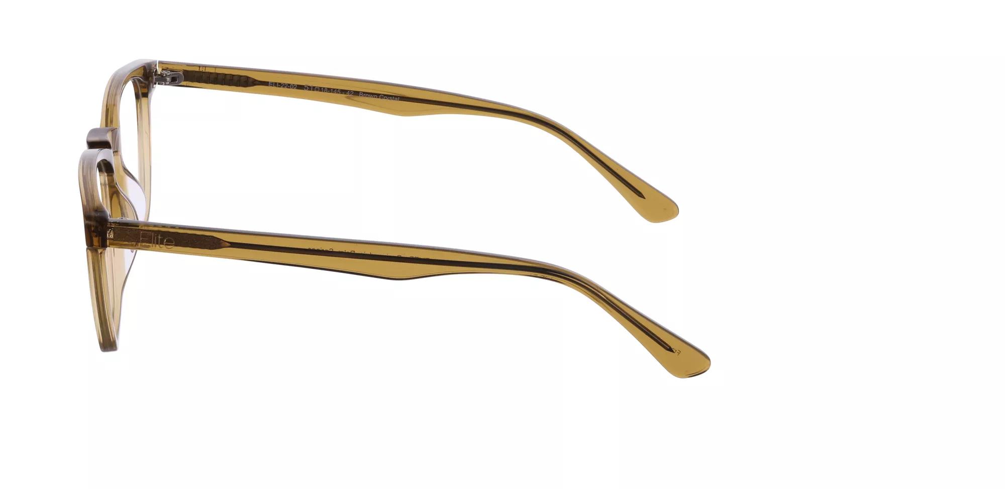 Elite Unisex's Brown Crystal Rectangular Eyeglasses Online